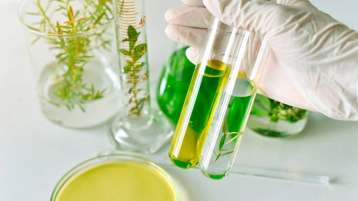 Extraits-Standardisés-Principe-Avantages-et-Rapport-25-1-pour-Optimiser-l-Efficacité-des-Compléments-Alimentaires-et-Phytothérapie NICE ORGANIC herboristerie bio