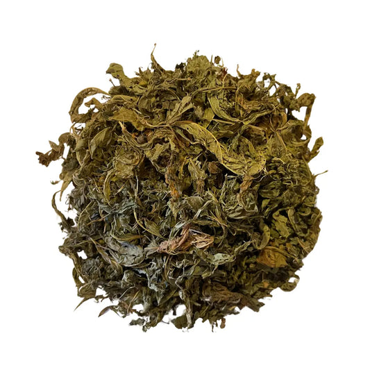 Sida acuta en tisane Herboristerie bio du vieux Nice