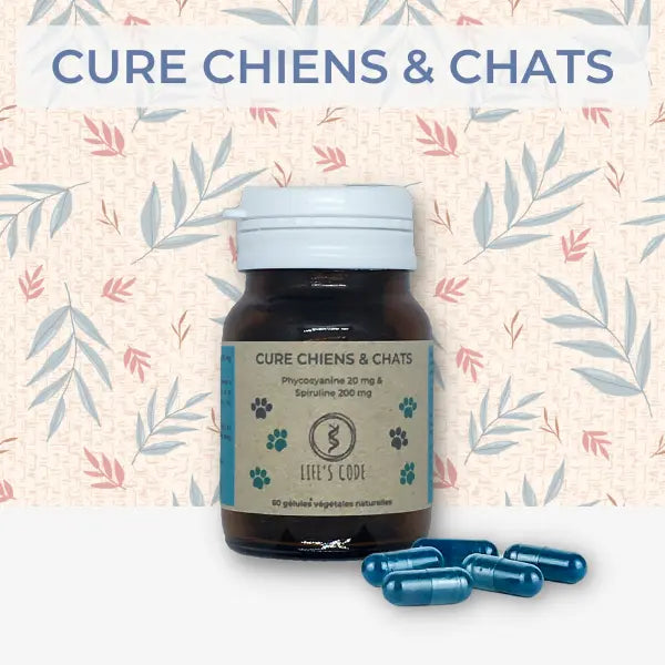 Cure chiens & chats - Life's Code Herboristerie bio du vieux Nice