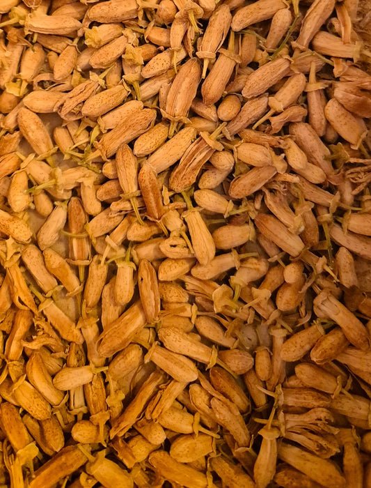 Bigarade boutons ( fleur d'oranger) 15 g NICE ORGANIC herboristerie bio