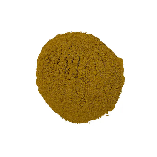 Poudre de Renouée du Japon - Japanese knotweed powder Herboristerie bio du vieux Nice