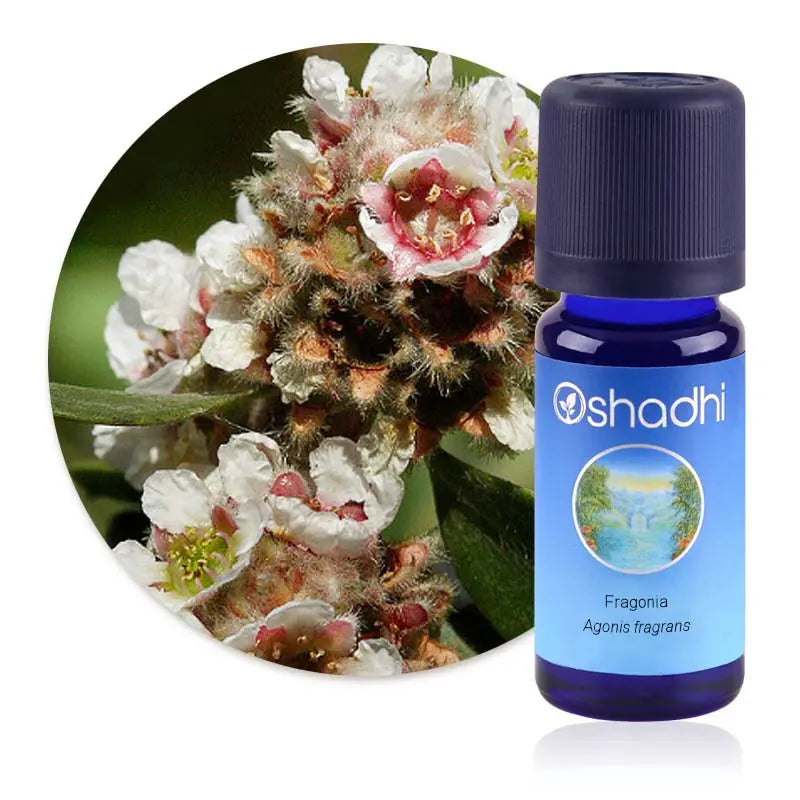 Huile essentielle Fragonia 3ml - Oshadhi Herboristerie bio du vieux Nice