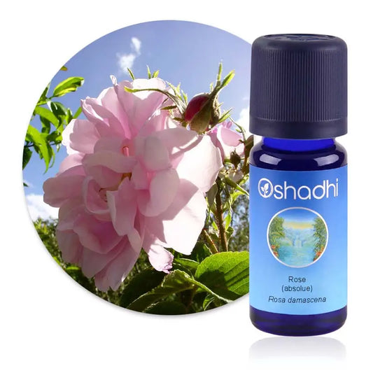 Huile essentielle Rose, absolue 1ml - Oshadhi Herboristerie bio du vieux Nice