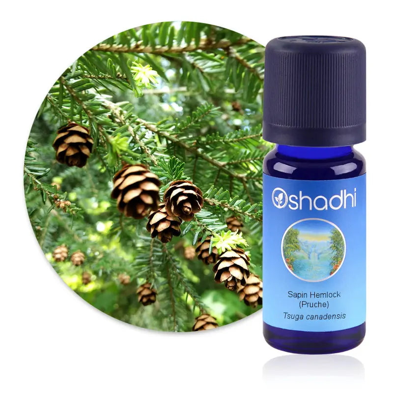 Huile essentielle Sapin Hemlock (Pruche) 5ml - Oshadhi Herboristerie bio du vieux Nice