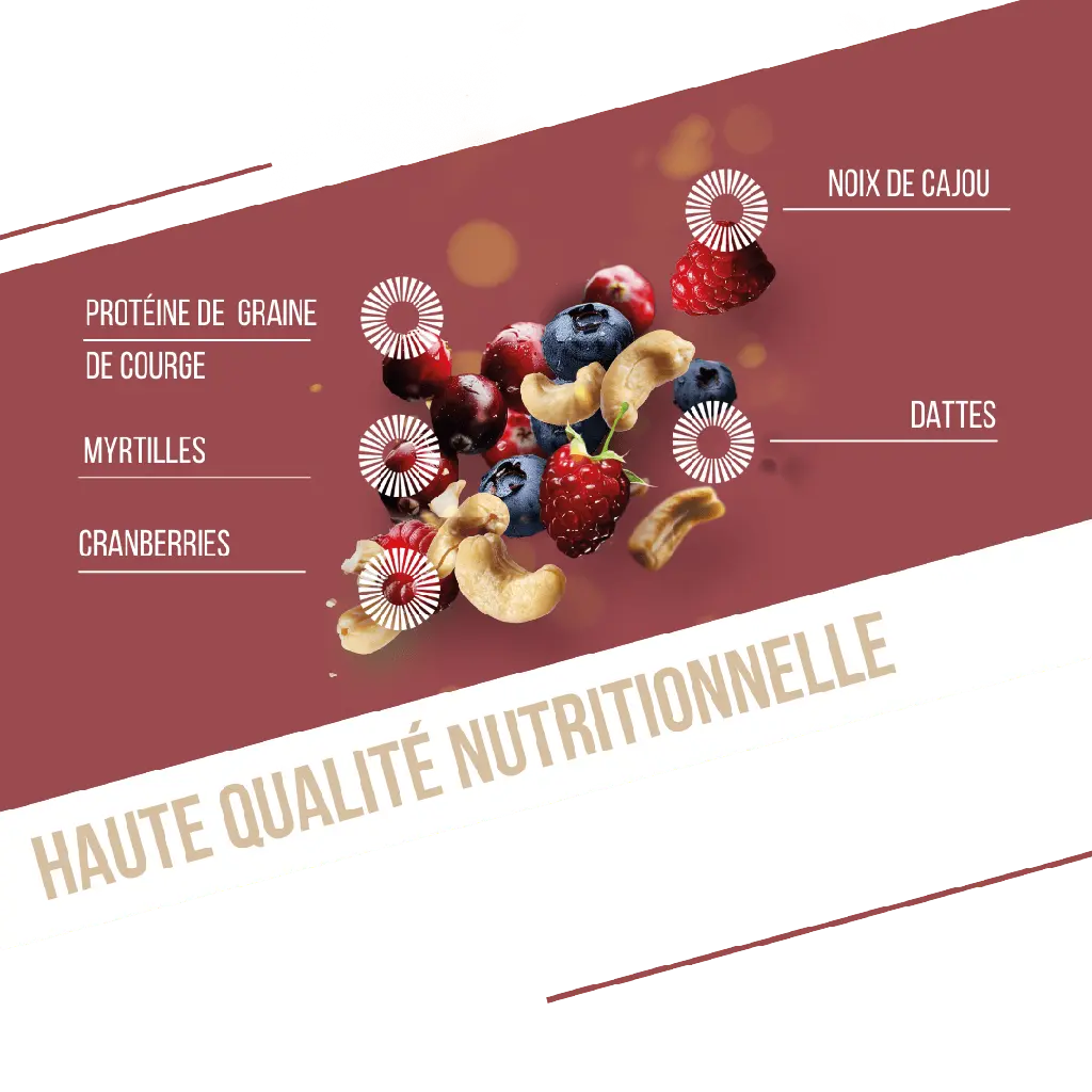 Barres Protéinées : fruits rouges - cajou Baouw NICE ORGANIC herboristerie bio