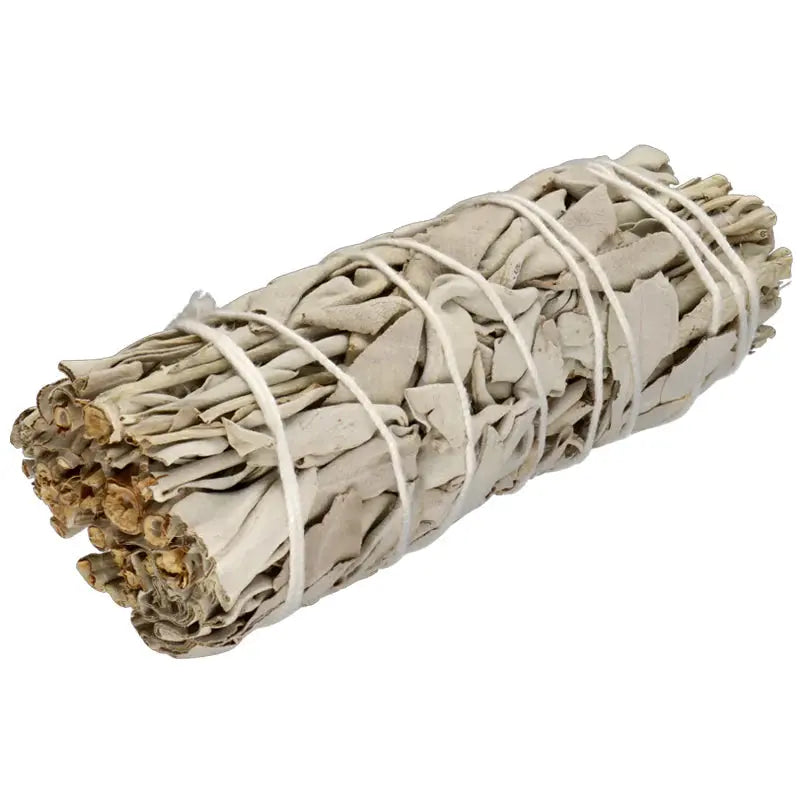 Sauge blanche Herboristerie bio du vieux Nice