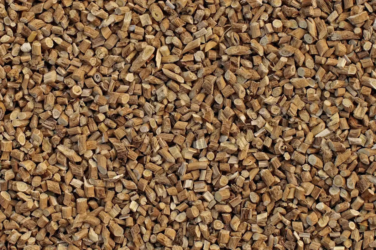 astragale tisane bio