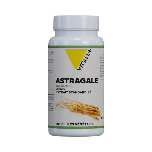 Astragale 500mg - 60 gélules - Vit'All+