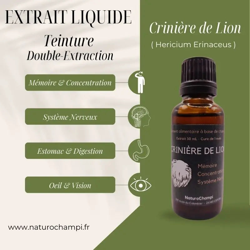 Crinière de Lion. Extrait liquide Hericium Erinaceus’ Complément alimentaire à base de champignon cultivé en France NICE ORGANIC herboristerie bio