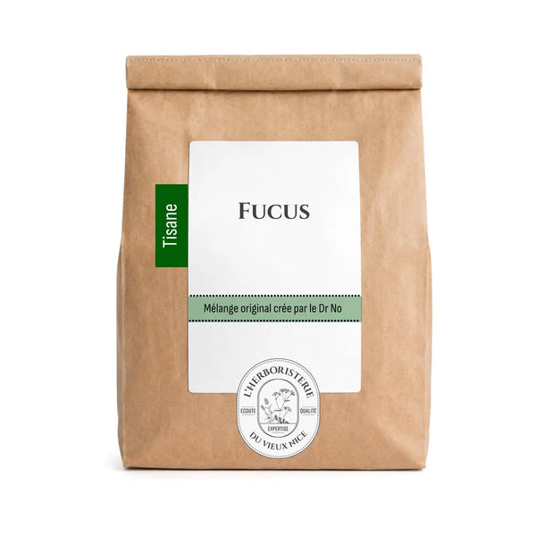 Fucus Vésiculeux - Thalle
