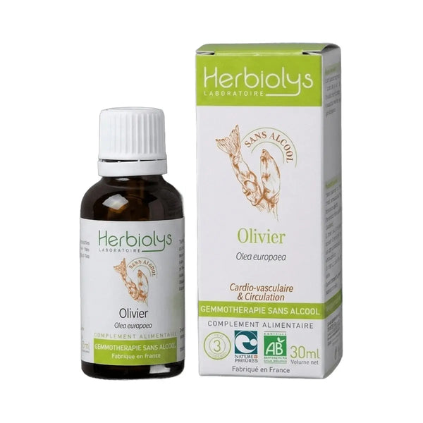 Olivier Macérât de Bourgeons Sans Alcool 30ml - Herbiolys