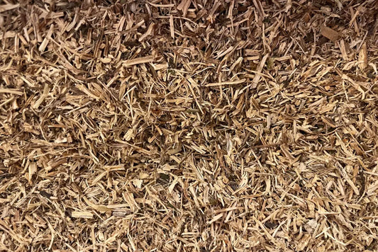 Ortie piquante racine Herboristerie bio du vieux Nice