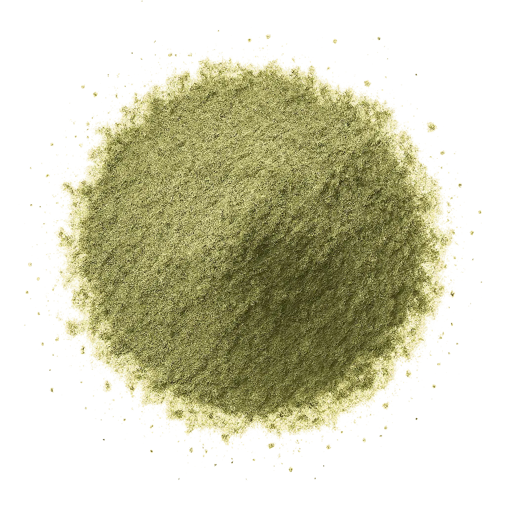 Poudre de prêle Herboristerie bio du vieux Nice