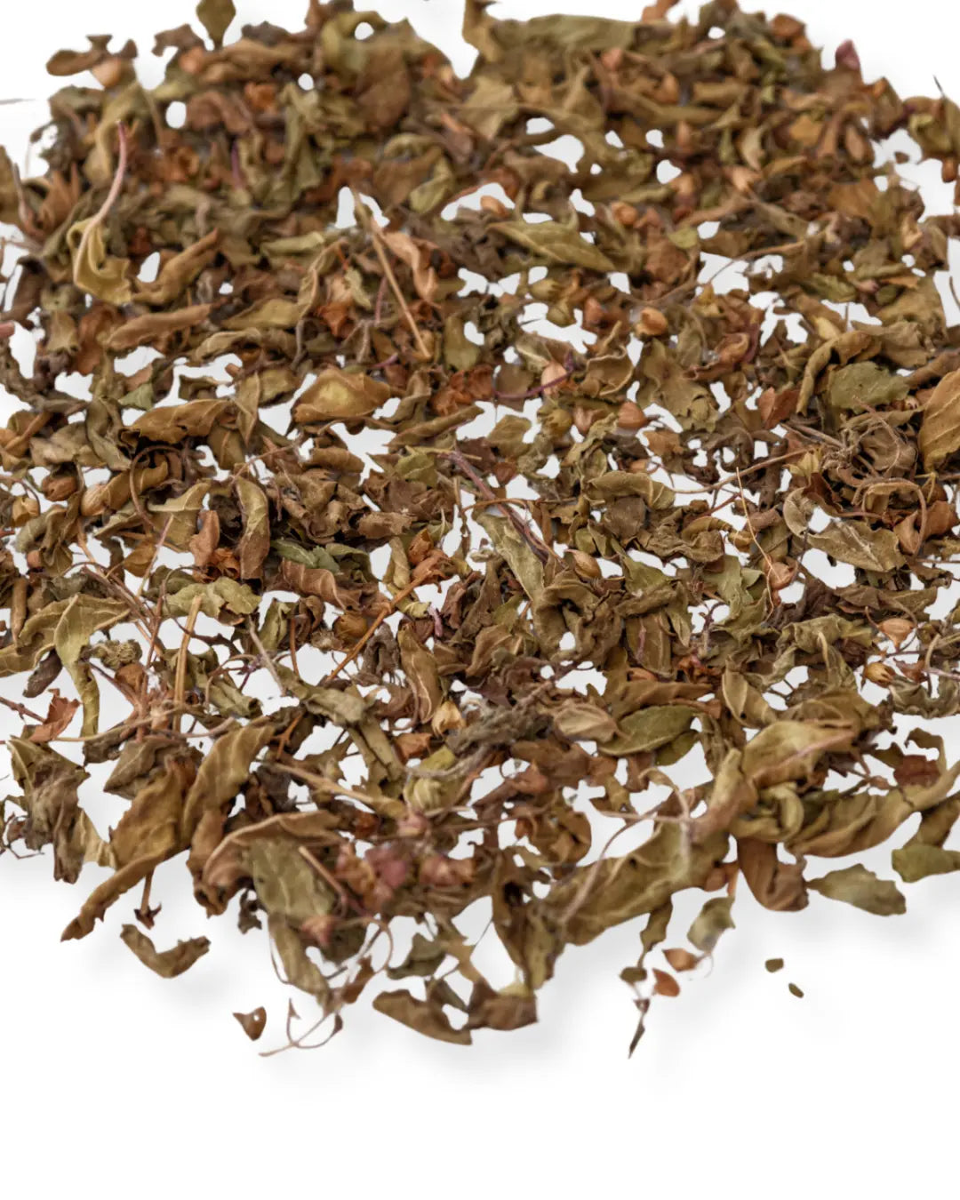 Tulsi / Basilic sacré Herboristerie bio du vieux Nice