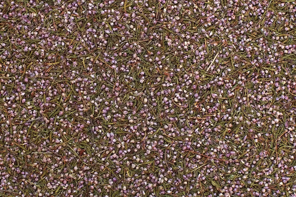tisane bruyère bio