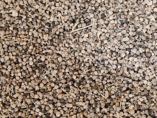 Gatillier NICE ORGANIC herboristerie bio