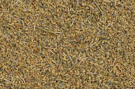 achillée millefeuille fleurs tisane bio