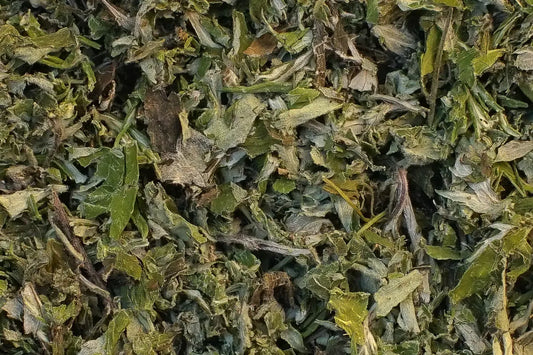 armoise feuilles tisane bio