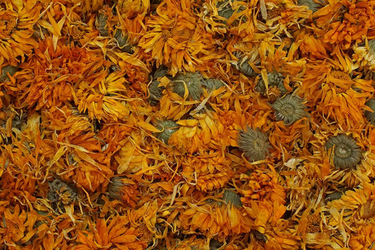 tisane calendula officinalis souci bio
