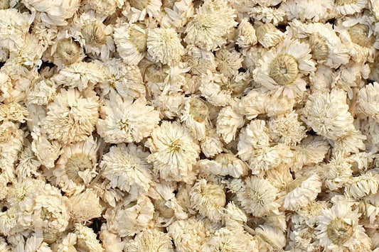 camomille romaine fleurs tisane bio