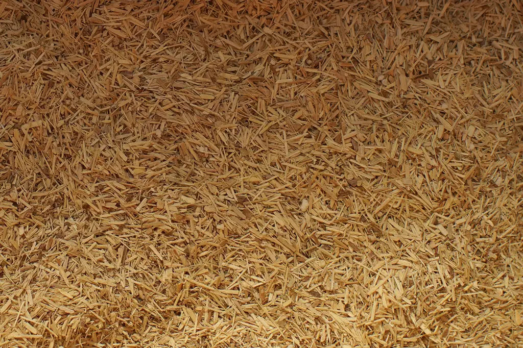 tisane éleuthérocoque ginseng sibérien bio