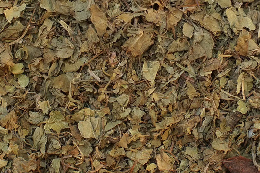 tisane hydrocotyle centella asiatica bio