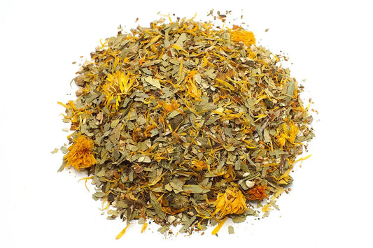 Tisane TRANSIT FORT NICE ORGANIC herboristerie bio