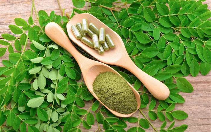 Le-Moringa-Un-Superaliment-aux-Mille-Vertus-Issu-d-une-Filière-Bio-et-Durable NICE ORGANIC herboristerie bio