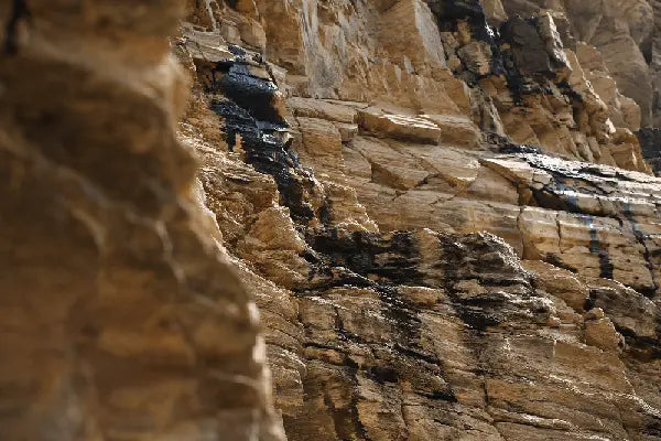 Comment-le-Shilajit-améliore-la-mémoire-et-la-concentration-naturellement NICE ORGANIC herboristerie bio