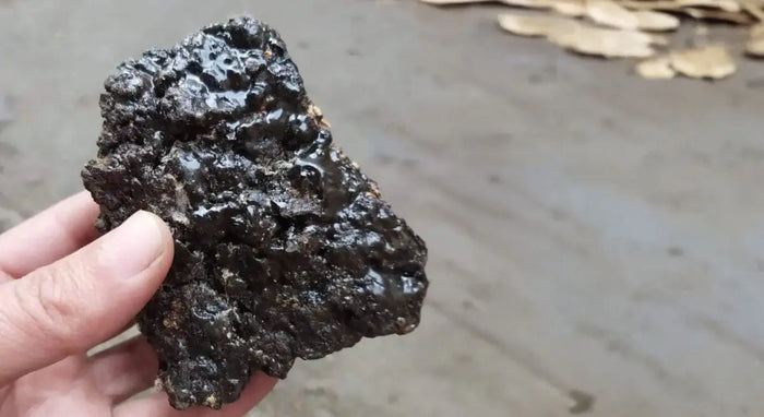 Shilajit-et-fertilité-un-allié-naturel-pour-hommes-et-femmes NICE ORGANIC herboristerie bio