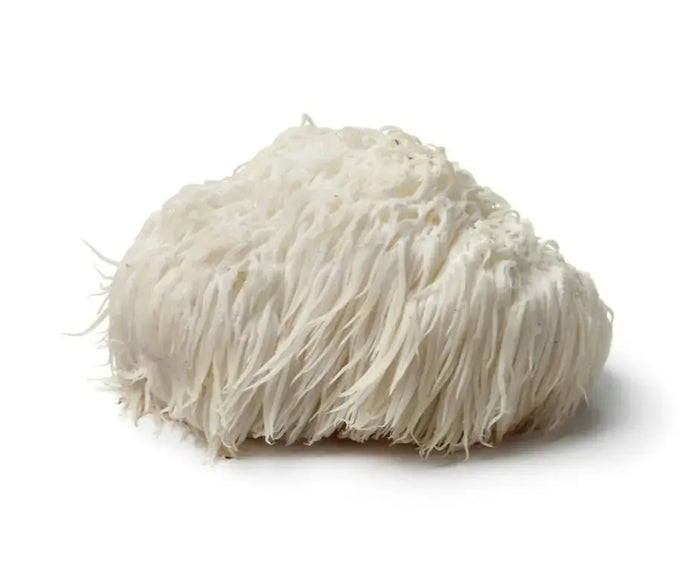 L-Héricium-un-champignon-aux-bienfaits-ancestraux NICE ORGANIC herboristerie bio