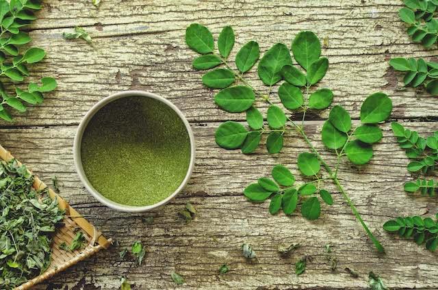 Le-Moringa-un-allié-naturel-pour-la-minceur-et-la-vitalité NICE ORGANIC herboristerie bio