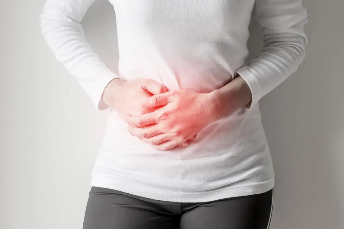 Le-Colon-Irritable-Inflammation-Digestive-et-SIBO-Des-Solutions-Naturelles-avec-l-Herboristerie-Bio NICE ORGANIC herboristerie bio