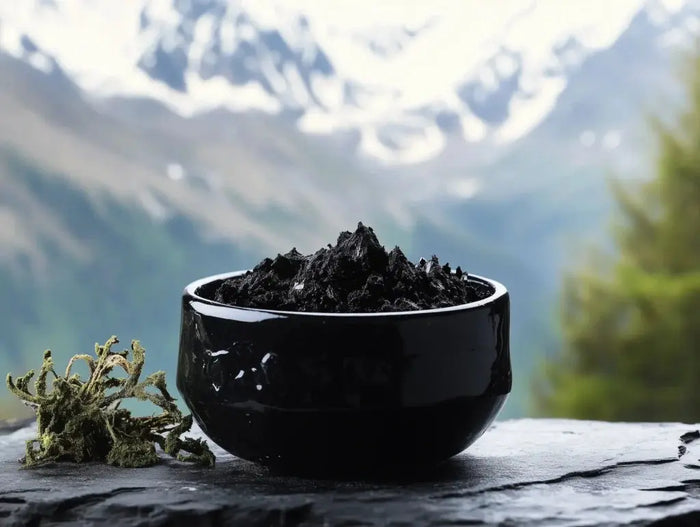 Le-Shilajit-L-incroyable-Super-Aliment-qui-Révolutionne-la-Santé NICE ORGANIC herboristerie bio