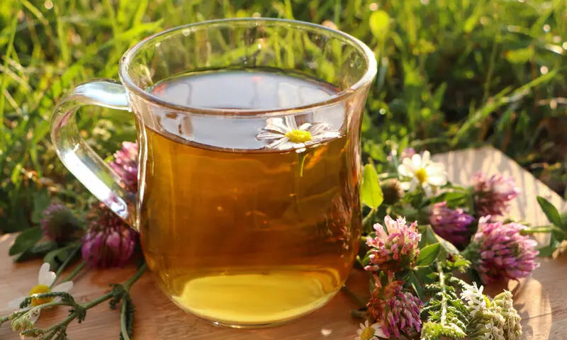 Détox-hépatique-du-printemps-Le-guide-ultime-pour-purifier-votre-foie-naturellement NICE ORGANIC herboristerie bio