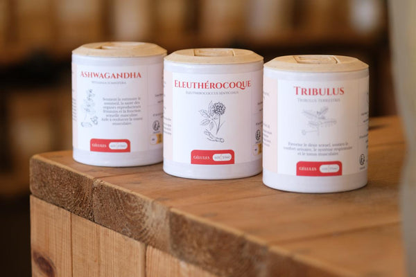 Adaptogènes
