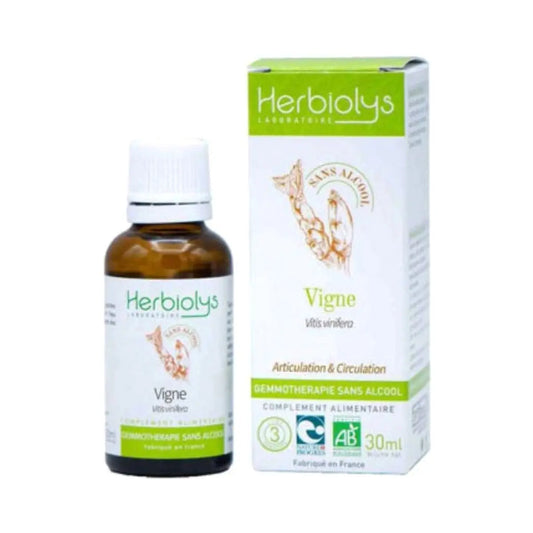 Vigne -  Gemmothérapie Sans Alcool 30ml - Herbiolys