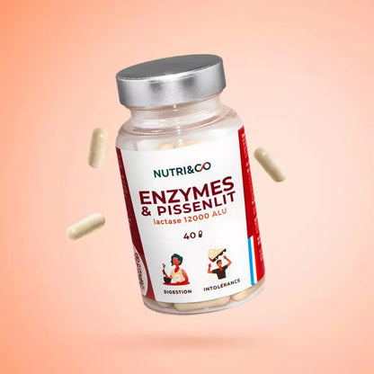 Enzymes & Pissenlit boite de 120 gélules Nutri&Co NICE ORGANIC herboristerie bio