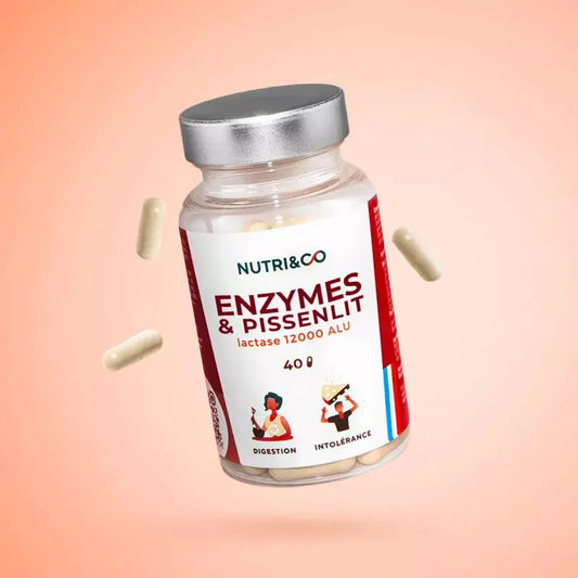 Enzymes & Pissenlit boite de 120 gélules Nutri&Co NICE ORGANIC herboristerie bio