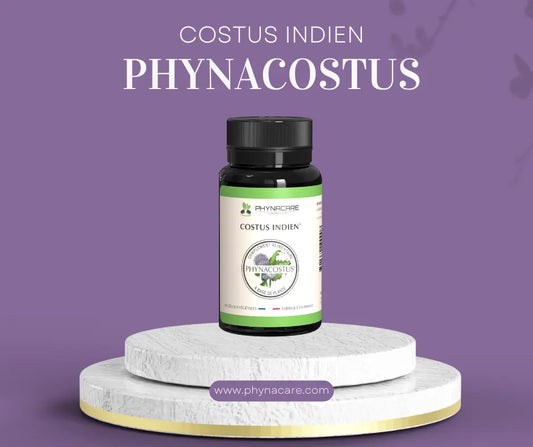 Phynacostus costus indien NICE ORGANIC herboristerie bio