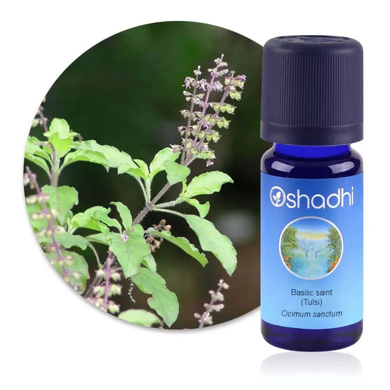 Huile essentielle Basilic saint (Tulsi) 5ml - Oshadhi Herboristerie bio du vieux Nice