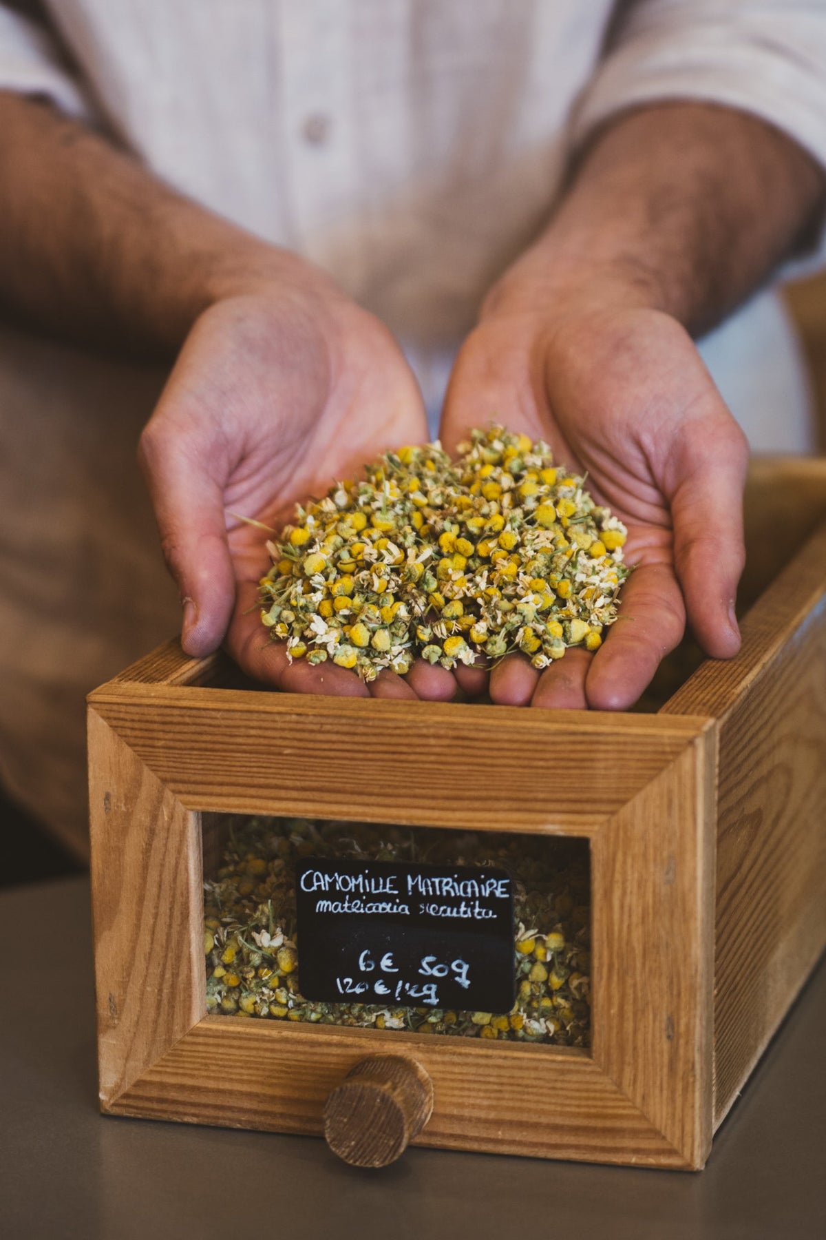 Bouquets d'herbes séchées suspendus