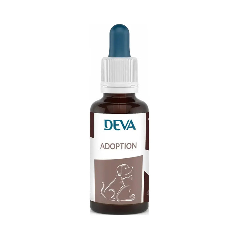 Adoption animaux - DEVA Herboristerie bio du vieux Nice