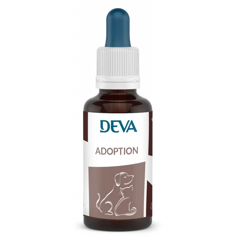 Adoption animaux - DEVA Herboristerie bio du vieux Nice