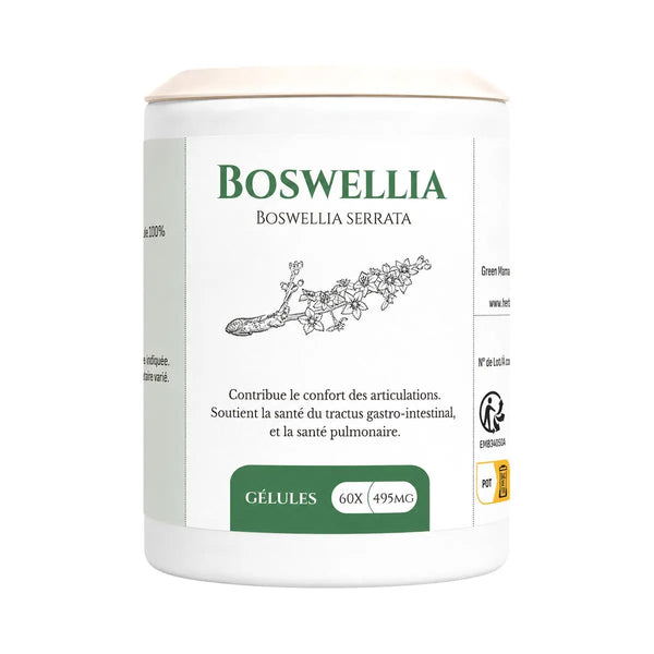 Boswellia 400mg - 60 gélules - Herboristerie du Vieux Nice