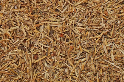 chiendent tisane bio