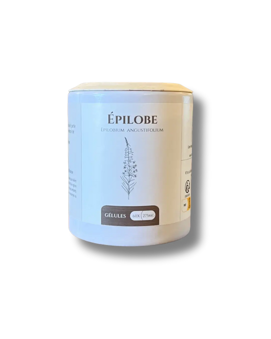 Épilobe – 60 gélules – Herboristerie du Vieux Nice Herboristerie bio du vieux Nice