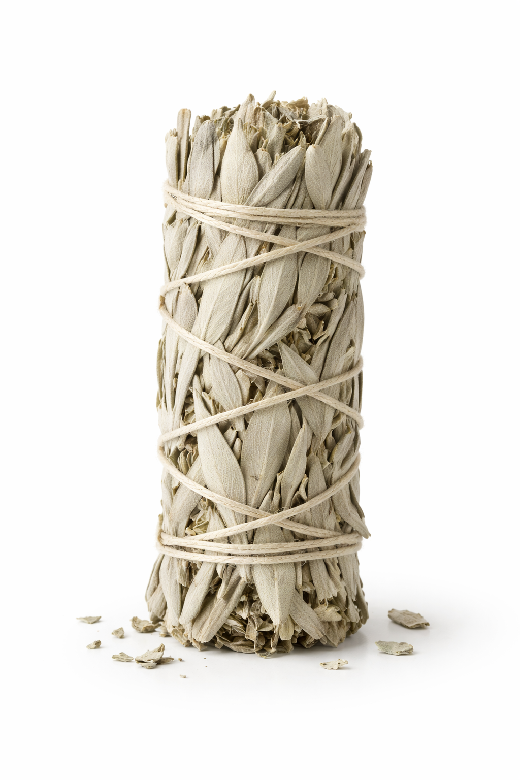 Sauge blanche fagot à brûler