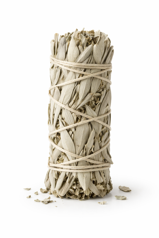 Sauge blanche fagot à brûler