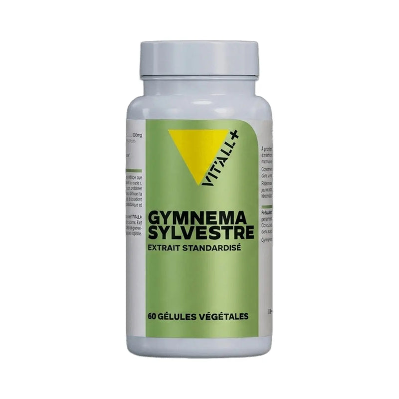 Gymnema Sylvestre Extrait Standardisé 600mg - 60 gélules - Vit'All+
